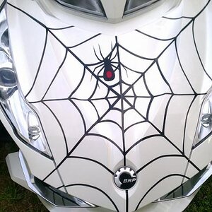 422730 400112046669501 100000121288074 1700215 2122554984 n