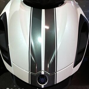 Tracy T's Charcoal RS-GT Racing stripes with 3M Carbon Fiber side runners.  Cool combo.