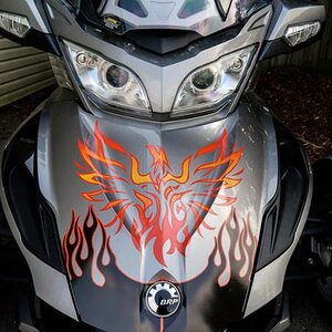 Best Flame Orange/Black  with RT Phoenix trunk kit. DIY install with videos to help you install.  814-838-6377