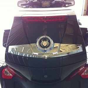 Flat Black GT Stripes by www.powersportswraps.com
Thanks Pete