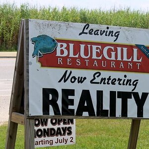 Blue Gill "entering reality" sign