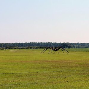 Giant metal spider