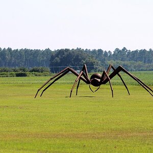 Close up of 20 ft metal spider