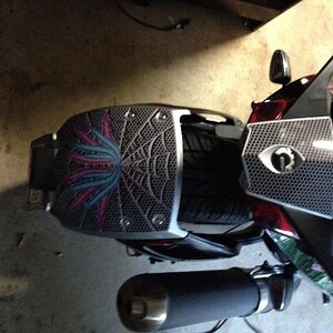 2009 SM5 Silver Spyder with custom www.powersportswraps.com skin.  Rear fender and tail.