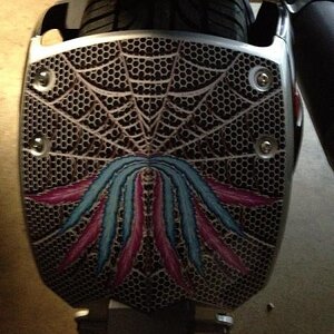 2009 SM5 Silver Spyder with custom www.powersportswraps.com skin.  Rear fender.