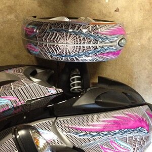 2009 SM5 Silver Spyder with custom www.powersportswraps.com skin.  Left side from top.