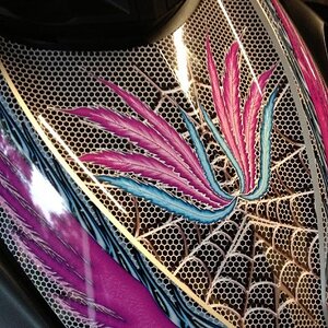 2009 SM5 Silver Spyder with custom www.powersportswraps.com skin.  Da hood.