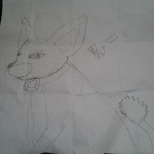 Hand drawn picture of Teddy by a 12yo lil girl that we met at the Closing Cerimonies
SITA 2012