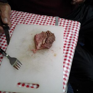 Mike feeding Teddy RibEye
SITA 2012