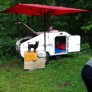 Teddy Standing guard over our Campsite
SITA 2012