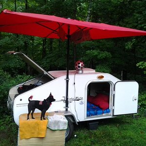 Teddy Standing guard over our Campsite
SITA 2012