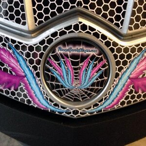 RS Feather Wings custom emblem cover we designed just for this kit.