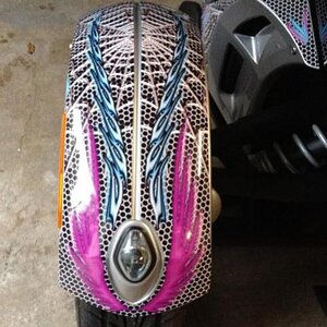 RS Feather Wings  fender:
PowerSportsWraps.com