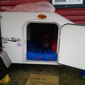 Teddy ready for a nap after getting his belly full of Bar-B-Q ...... mmmmmm mmmmmmm GOOD!