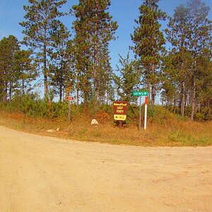 <- This way to the Lost Forty