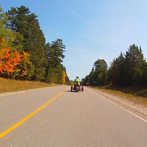 Beautiful maple trees along the road.
