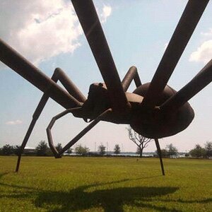 Under the giant spider 9/22/12