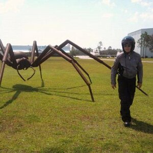 Steven Kurtz by the spider 9/22/12