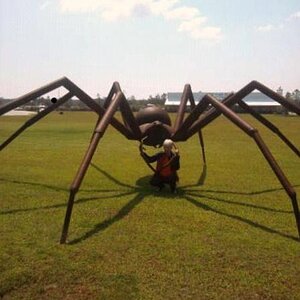 Cheryl under the spider 9/22/12