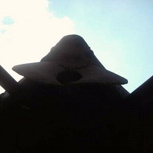 View from under the spider