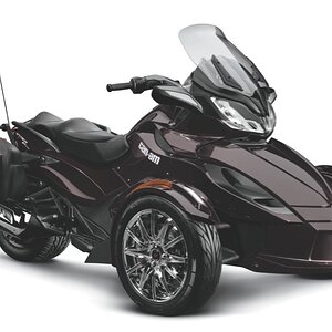 smST LTD 3 4 Blk Currant 13