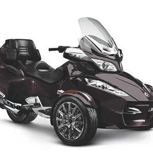 smRT LTD 3 4 Blk Currant 13