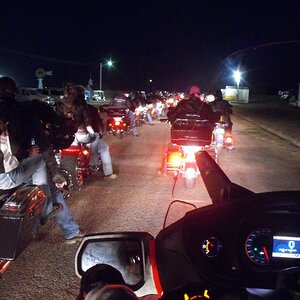 Lining up for the parade, and surrounded by Hogs