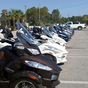 Spyders at Hammerhead Fred's