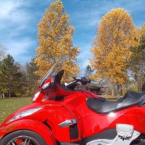 Spyder in the Park
10-17-2012