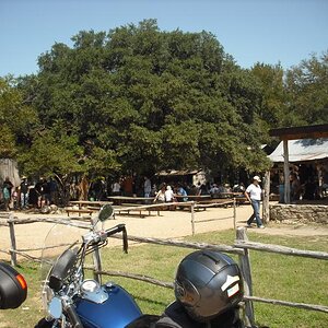 DSCF0088
Luckenback , Tx