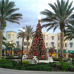Lakewood Ranch Christmas Tree
