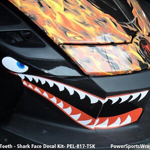 flying tigers shark face decal kit