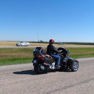 What a beartiful day for a ride