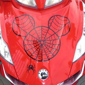 frunk graphic design Black high performance vinyl. Easy peel and stick apply.