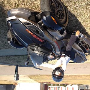 Spyders can go upside down.