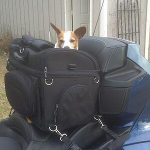 2013 02 12 15 51 22 329