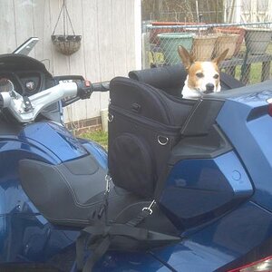 2013 02 12 15 51 37 371