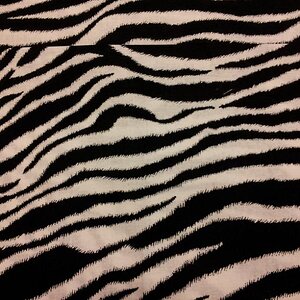 01 Black & White Zebra