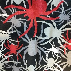 01 Mulit Colored Spider