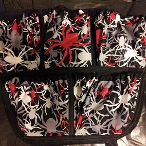 01 Multicolor Spider