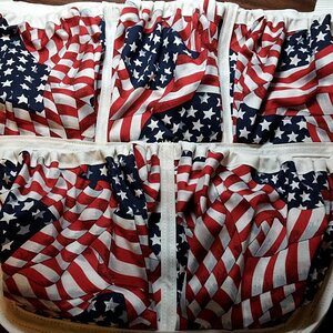 01 Flag White Background