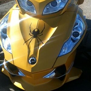 Spyder logo on frunk.
