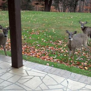 2012 10 21 09 08 13 396