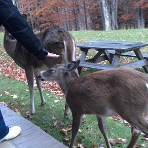 2012 10 21 09 09 33 154