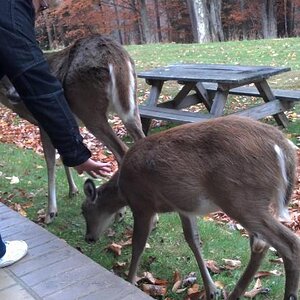 2012 10 21 09 09 35 213