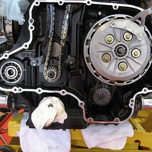 Triumph 007sm (Large)