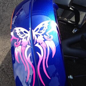 Butterfly Fender stripe: We designed this fender kit to help bring the kit all together on the bike. It's a great touch that really adds to the look o