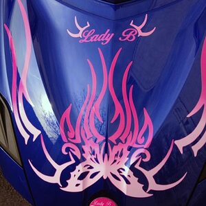 Butterfly RT Frunk: This is a close up view of the custom Spyder RT Butterfly graphics kit we created for our customer Steve. Contact us with your Gra