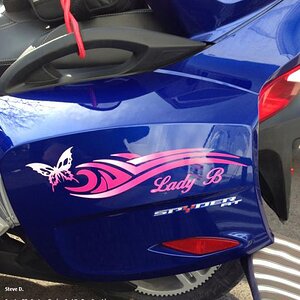 Butterfly Saddle Bags: We designed this to flow on the side of the bike. The customer really loved the design. We also incorporated it into the 12 pie