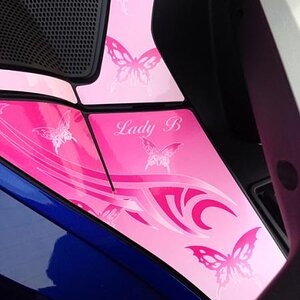 Close up Dash skinz- Butterfly kit that was custom designed for our customer. For your custom dash skinz: 814-838-6377